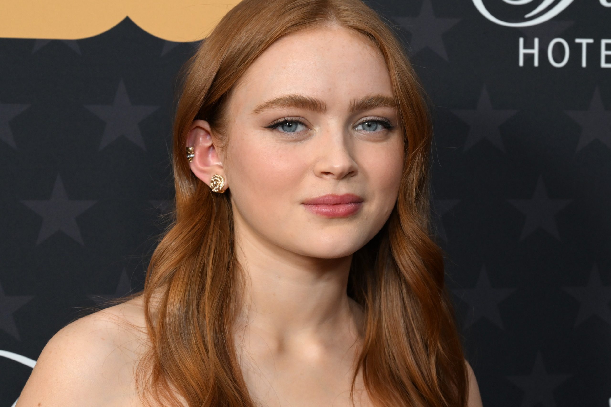 Sadie Sink’s Stunning Journey: Addressing Plastic Surgery Speculations