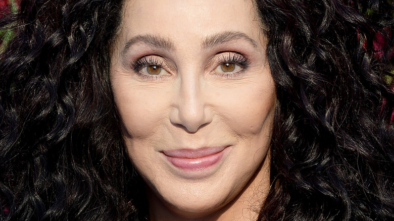 Cher’s Journey: Botox, Facelift, and the Truth of Plastic Surgery